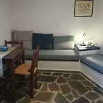 Le Petit Chateau Holiday home Ano Syros